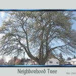 Neighborhood Tree